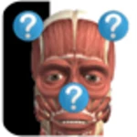 anatomy quiz lite android application logo